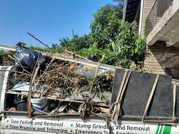 Best Shed Removal  in Mount Jackson, VA
