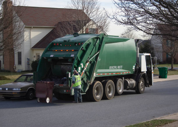 Best Hoarding Cleanup  in Mount Jackson, VA